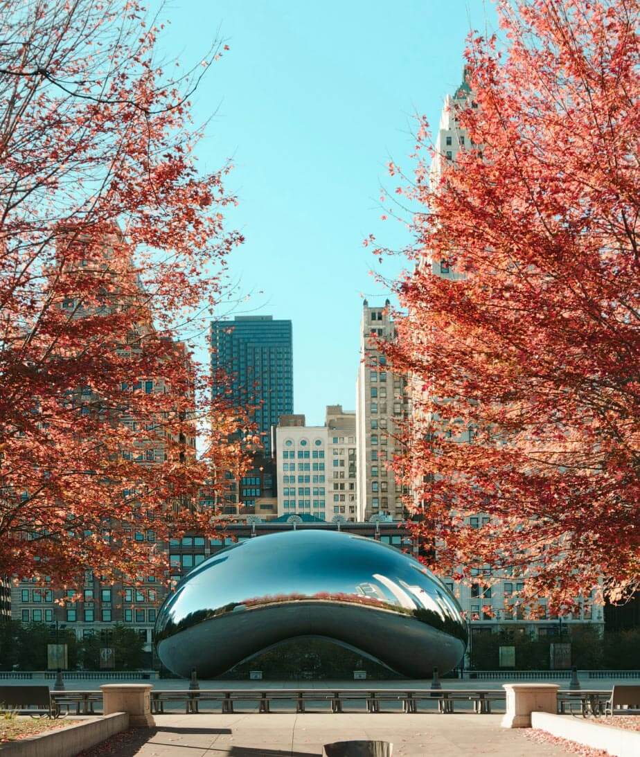 Cloud Gate AKA The Bean